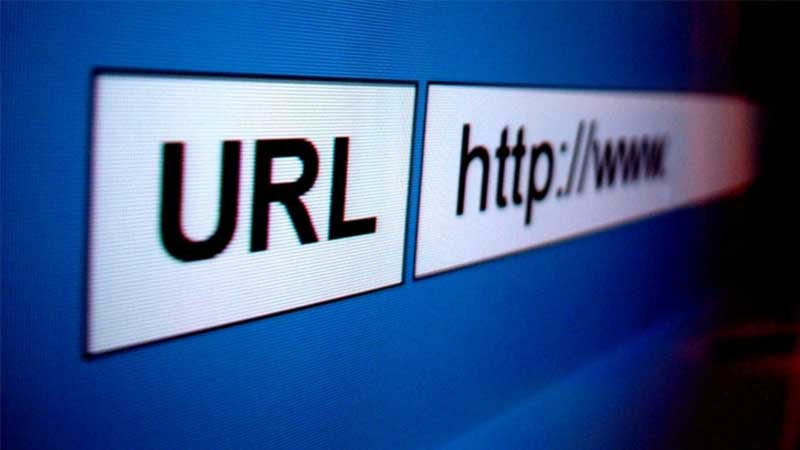 Web Domain Name