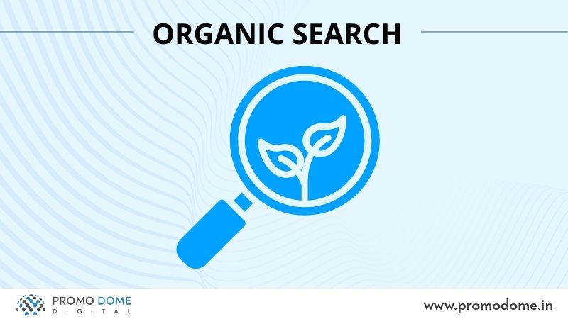 Search Engine Optimization